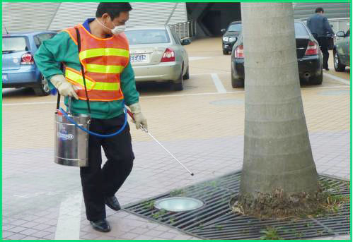 罗湖区2016-2017病媒生物防治项...