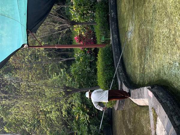 龙岗甘坑古镇清洁服务项目(图4)