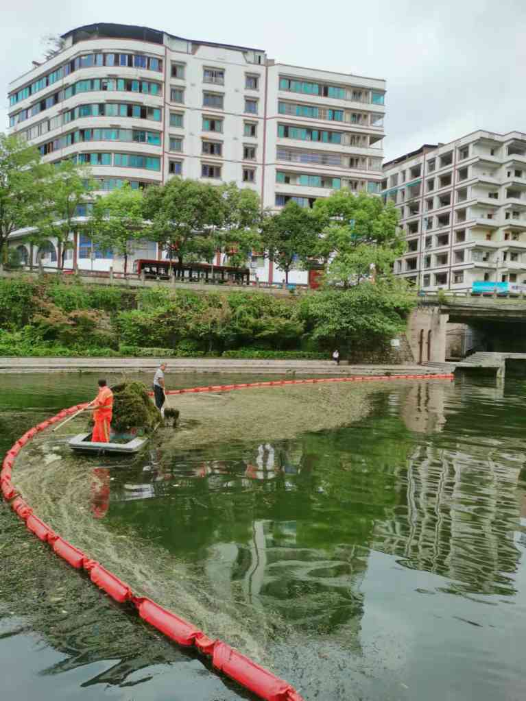 贵州遵义城市绿化管养项目