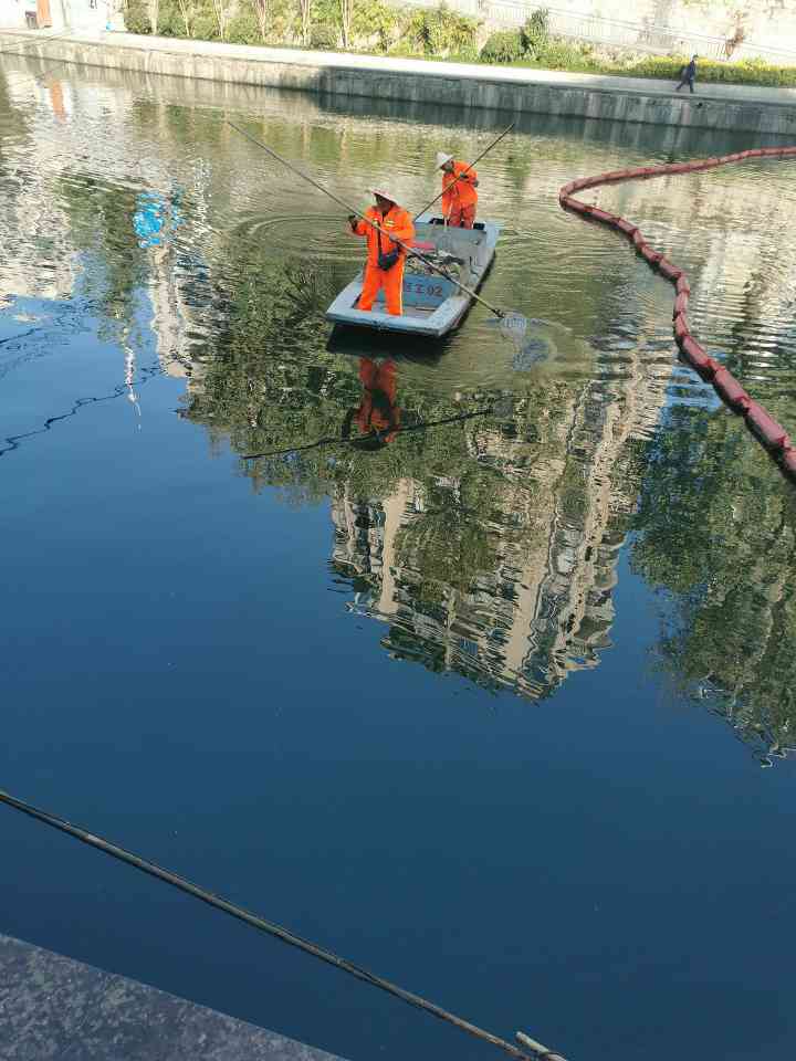 贵州遵义城市绿化管养项目(图2)