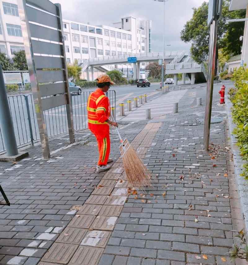 龙华观湖项目道路清洁(图2) 龙华观湖项目道路清洁(图2)