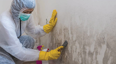 室内霉菌修复指南:如何选择专业清洁服务商(图1) 室内霉菌修复指南:如何选择专业清洁服务商(图1)