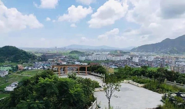 浙南小镇望里如何成为中国清洁用品第一镇(图1)